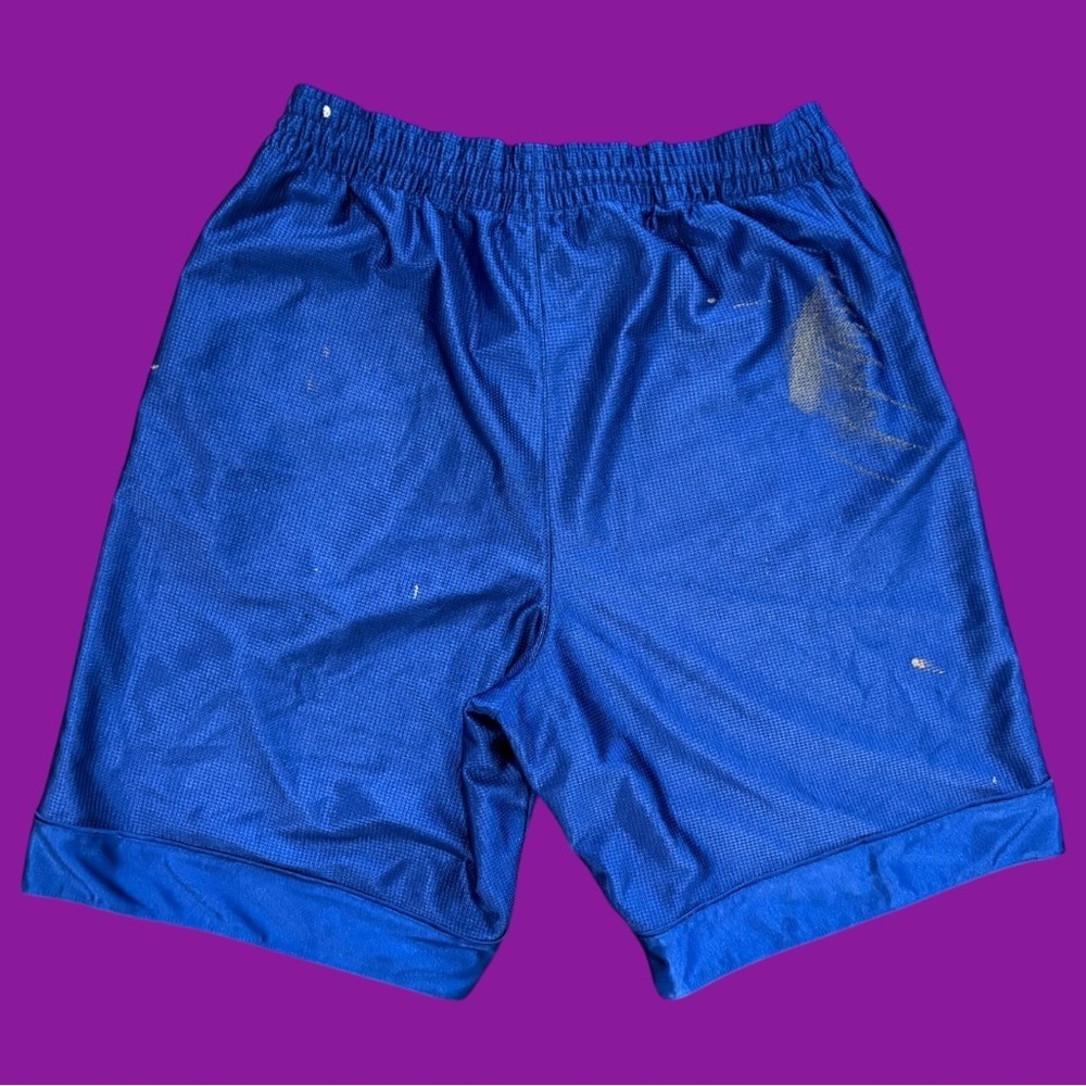 Y2K Distressed Nike Mesh Shorts - Picture 2 of 4